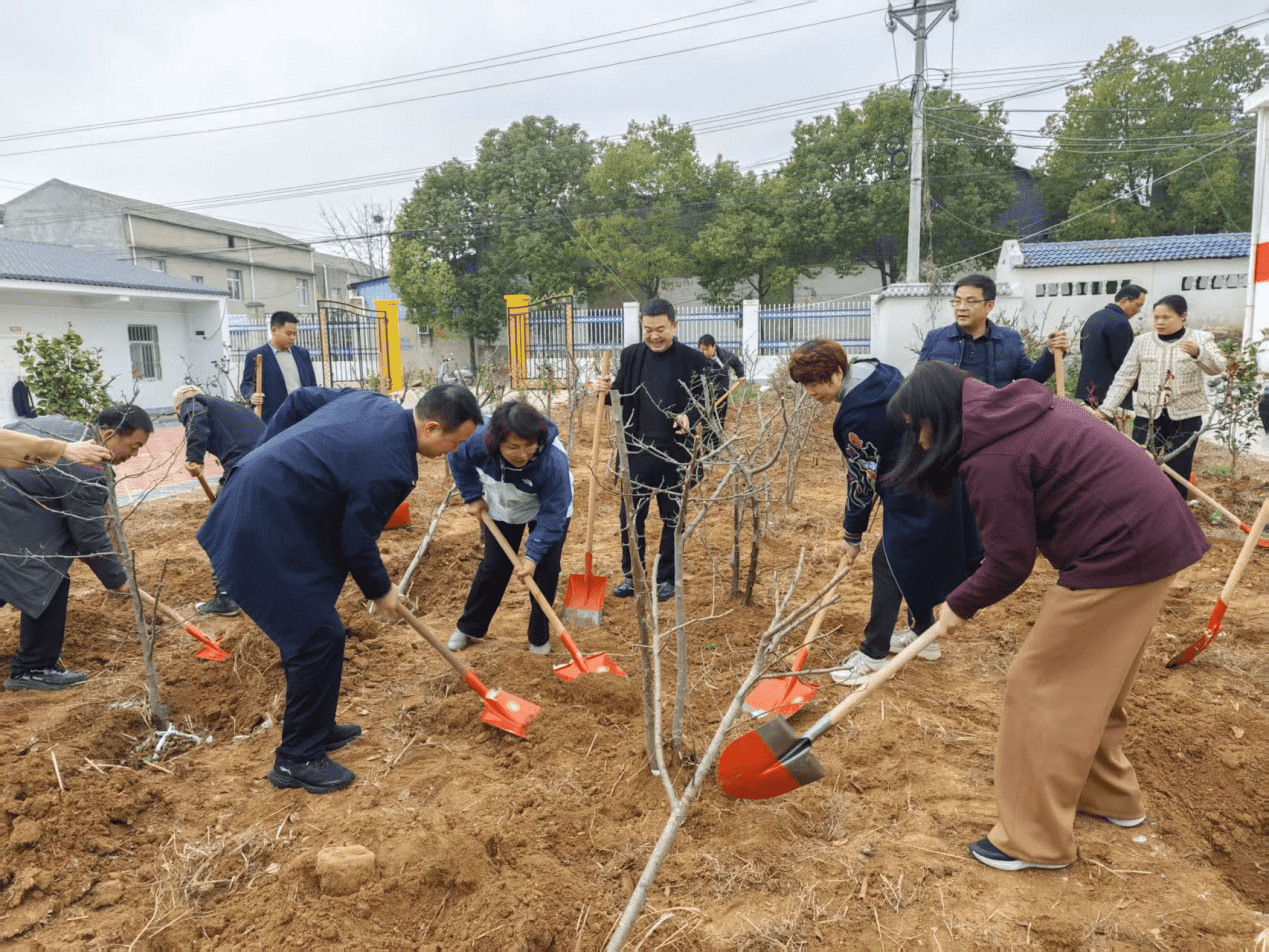 僑手植綠，共建萬樹村 孝感僑界在行動