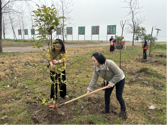 監(jiān)利市僑聯(lián)開展義務(wù)植樹活動(dòng)